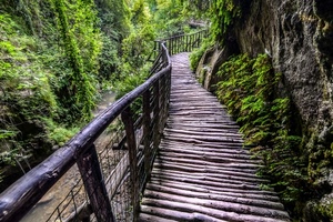 legno, verde, alberi, passerella, staccionata, sentiero, rete, bosco, roccia, tronchi, parapetto, acqua, montagna