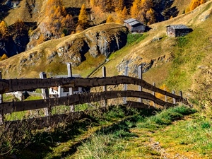 staccionata, legno, alberi, verde, autunno, montagna, erba, baite, case, rocce, giallo, casa, ombra