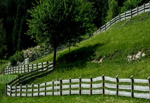 erba, prato, verde, albero, staccionata, alberi, recinzione, curva, bosco, steccato, legno, pietre, collina, recinto, sassi