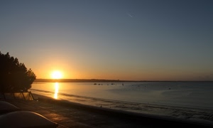 mare, tramonto, spiaggia, sole, alberi, acqua, alba, cielo, riflesso