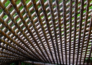 canne, verde, intreccio, linee, prospettiva, alberi, erba, pattern, copertura, rete, graticcio, quadrati, tettoia, bambù, geometrie