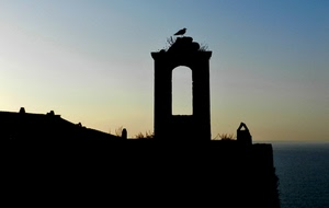 controluce, cielo, uccello, mare, nero, tramonto, campanile, silhouette, azzurro, camino, sagoma, vela, gabbiano, tetti, case, arco