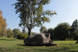 alberi, verde, prato, erba, masso, sasso, parco, cielo, foglie, azzurro, roccia, rami, pietra, piante, albero, cartello, celeste, cartelli