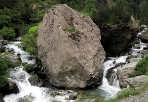acqua, verde, torrente, masso, cespugli, erba, massi, piante, montagna, sassi, roccia, ruscello, fiume, cascate, alberi, muschio