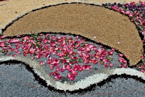 petali, rosa, infiorata, nero, fiori, grigio, bianco, disegno, sabbia, beige, colori, marrone