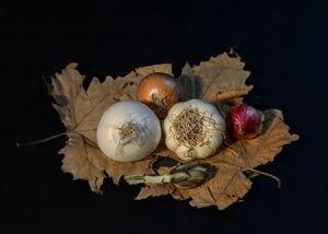 carciofo, aglio, cipolle, foglie, bianco, ortaggi, rosso, nero, cipolla, verde, foglia, verdure, secche, radici, marrone, rossa, natura, bianca