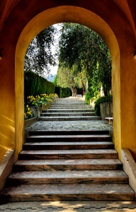 arco, fiori, gradini, giardino, alberi, scale, scalinata, tulipani, scala