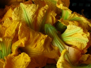 fiori, verde, zucca, giallo, zucchine, ortaggi, verdura, macro, foglie, cibo, natura, petali
