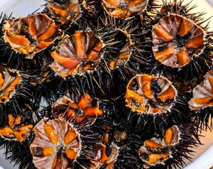 ricci, mare, spine, piatto, arancione, cibo, aculei, uova, arancio