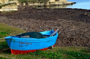 barca, rosso, azzurro, mare, verde, erba, acqua, nome, spiaggia, scogli, terra, numeri, remi, scogliera, bicolore, costa, riva, scritta, lago