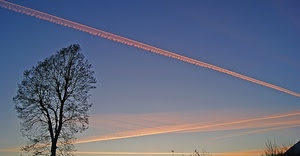 cielo, albero, scie, azzurro, rami, controluce, rosa, tramonto, nuvole, nero, foglie, tronco, arancione, alba, diagonale, scia, alberi, diagonali