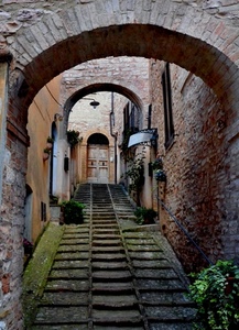 vicolo, archi, gradini, porta, scalinata, scale, scala, arco, lampione, salita, portone, mattoni, vasi, piante