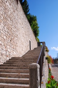 fiori, scala, gradini, ringhiera, muro, scalinata, rosso, cielo, alberi