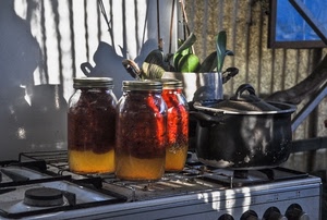 pentola, vasi, cucina, conserve, cibo, vetro, barattoli, fornelli, coperchio, gas, rosso