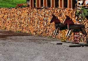 catasta, giochi, legno, cavalli, verde, fiori, molle, prato, erba, marrone, legna, due, legname, dondolo, rosso, sassi