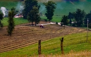 alberi, fumo, verde, trattore, strade, campi, campagna, terra, campo, erba, pali, prato, tronchi, agricoltura, incrocio