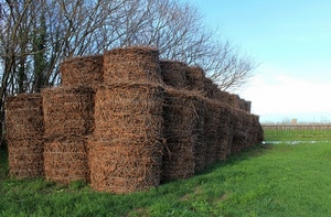 alberi, erba, verde, fieno, balle, prato, campagna, nuvole, cielo, rami, paglia, rotoballe, campo, rotoli, acqua, azzurro, covoni, spogli
