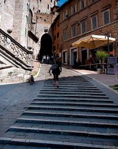 scalinata, cane, salita, scale, gradini, ombrellone, arco, scala