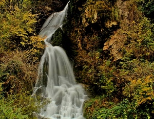 acqua, cascata, verde, piante, foglie, bianco, rocce, bosco, cespugli, torrente, natura, fiume, autunno, giallo, fogliame, cascate, rami