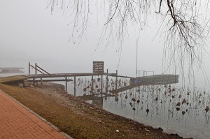 pontile, rami, acqua, nebbia, lago, riva, riflesso, terra, foglie, foschia, albero, inverno, molo, marrone, fiume