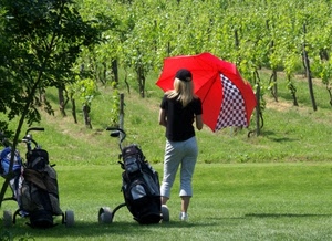 ombrello, rosso, golf, ragazza, vigneto, prato, donna, vigna, sport