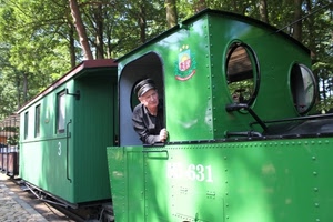 verde, treno, macchinista, alberi, vagoni, binari, locomotore, locomotiva