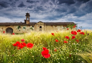 papaveri, fiori, nuvole, grano, cascina, rosso, cielo, campo, spighe, campanile, verde, arco, portone, rudere