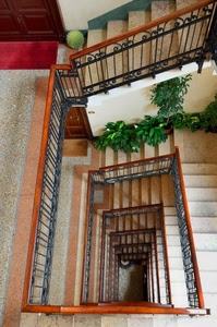 ringhiera, scale, gradini, scala, tromba, prospettiva, piante, porta, passamano, verde, corrimano