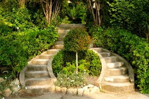 scale, verde, piante, gradini, giardino, foglie, scala, alberi, scalini, fiori, cespugli, albero, aiuola