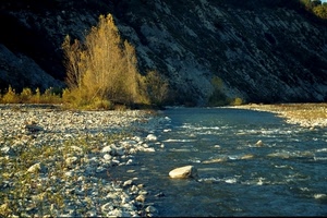 fiume, sassi, acqua, montagna, arbusti, torrente, ombra, natura, cespuglio, autunno, letto, ruscello, luce, sole