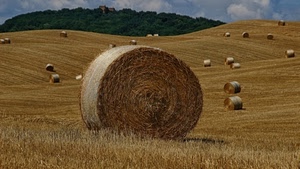 nuvole, fieno, alberi, colline, cielo, giallo, verde, balle, campo, campagna, covoni, campi, paglia, balla, case, collina, estate, bosco, rotoli, grano, terreno