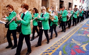 banda, verde, strumenti, divise, finestre, musica, giacche, fiori, musicisti, strada, infiorata, nero, porte, uniformi, divisa, grancassa, fiati
